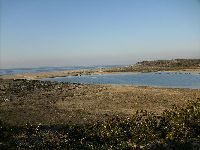 Mares Circulares limpam praia de Melides. 31927.jpeg