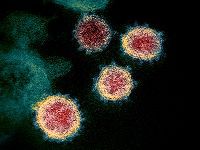Governo da pandemia evidenciou controvérsias científicas e políticas. 34938.jpeg Governo da pandemia evidenciou controvérsias científicas e políticas. 34938.jpeg