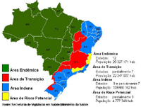 Vacinação contra a febre amarela é necessária antes de ir a alguns estados do Brasil