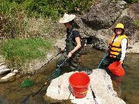 Estudo alerta para a fraca qualidade ecológica dos rios em todo o mundo. 34961.jpeg Estudo alerta para a fraca qualidade ecológica dos rios em todo o mundo. 34961.jpeg