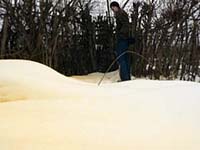 Neve amarela que caiu na Sibéria não era tóxica
