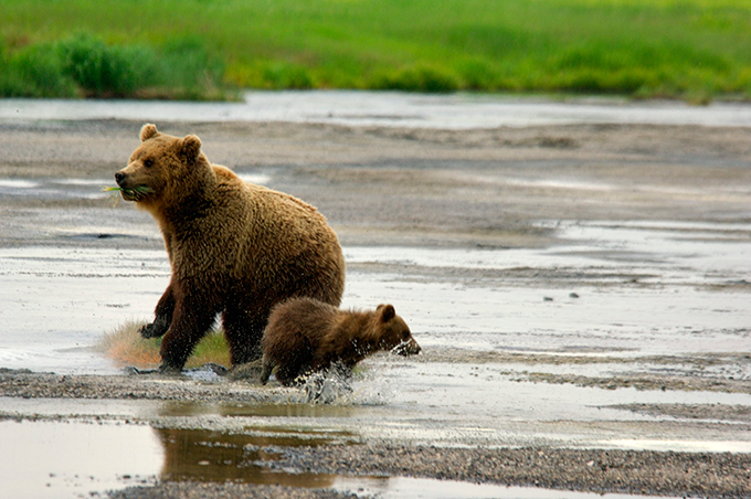 Vale dos Gêiseres na península de Kamchatka
