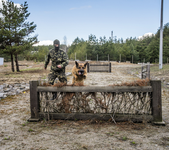 Cães de guerra continuam o serviço na Rússia