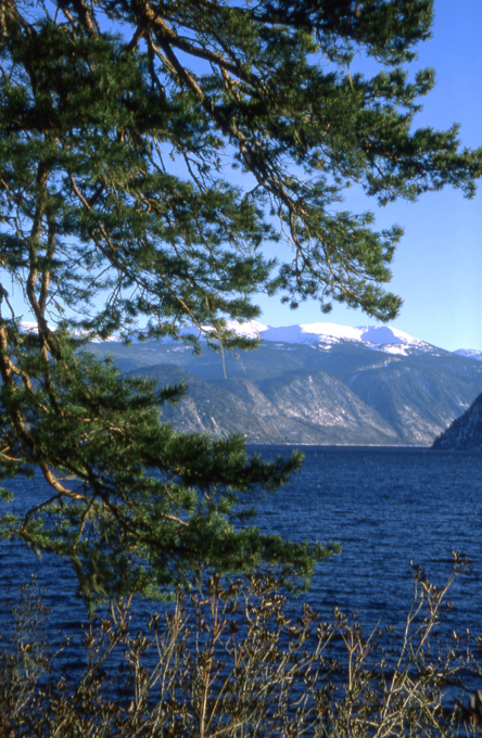 Алтай. В поисках Шамбалы