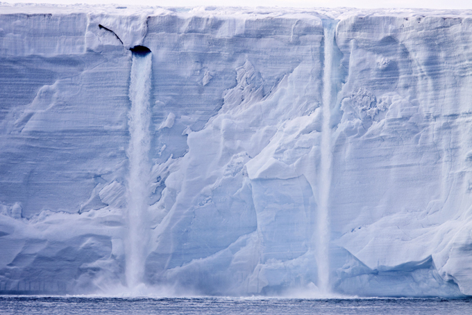 Ilha de Spitsbergen protege as plantas da Terra