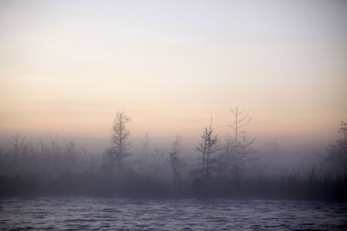 Чудеса природы