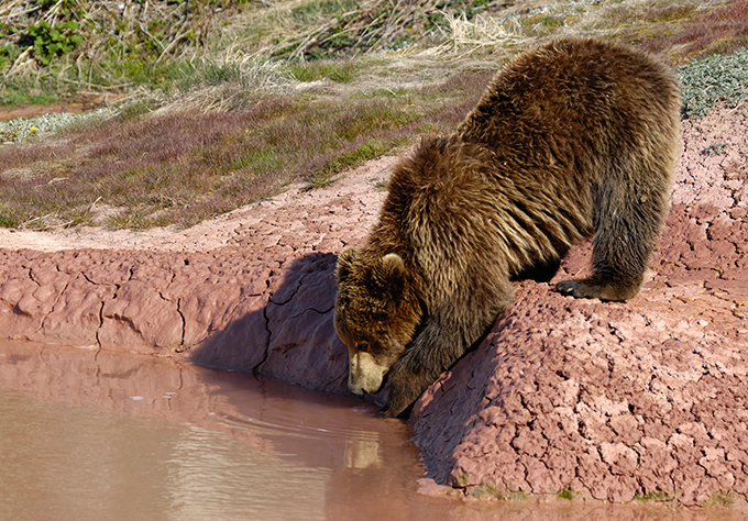 Vale dos Gêiseres na península de Kamchatka
