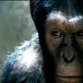 Ficção e realismo no Planeta dos Macacos