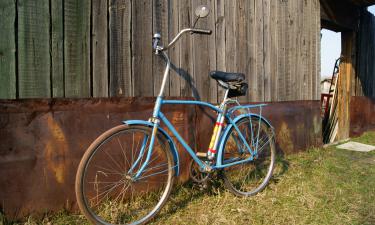 Dicas inteligentes para guardar sua bike no apartamento — sem furar parede