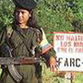 Colômbia: Governo atende às FARC