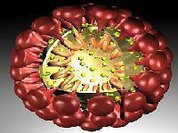 O coronavirus e a provável mão oculta dos Estados Unidos