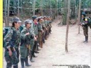 FARC-EP decidem cessação unilateral de operações ofensivas