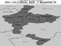 Oliveira de Frades