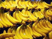 Brasil-2016: República das Bananas dos Escroques Provisórios