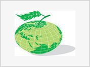 Os Verdes e Ecolojovem em acção no dia mundial do ambiente