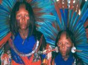 MPF divulga relatório sobre remoção de ribeirinhos pela hidrelétrica de Belo Monte