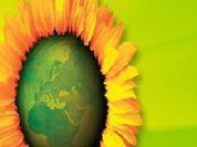 Portalegre -Os Verdes Entregaram Rolhas à Câmara Municipal -“Uma Rolha pela Fábrica da Rolha”