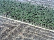 Aumento de 28% no desmatamento amazônico