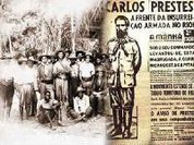 A árvore e a floresta