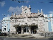 Conclusões do Conselho Nacional do PEV- Coimbra