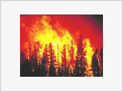 Fogos florestais em Buriatas