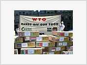 Brasíl em disputas na OMC