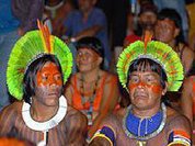 Pan Amazônia: 'Se falta o ar, compremos os pulmões'