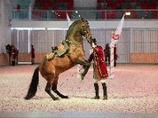 Gala de Abril da Escola Portuguesa de Arte Equestre