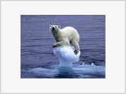 Alterações climatéricas: Gelo no Mar Árctico baixa