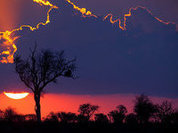 Rei africano mora na Alemanha e governa seu país pela internet