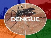 Dengue pode afetar a visão