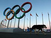 Proteger os Jogos Olímpicos em Sochi