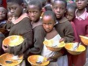Enquanto milhões passam fome no mundo; metade da comida do planeta vai para o lixo