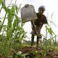 Brasil apoia agricultores africanos
