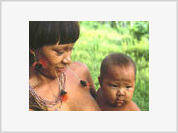 Site Povos Indígenas no Brasil é relançado com novidades