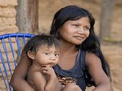 Novo site do ISA apresenta raio-x de terras indígenas na Amazônia
