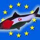 Acordo EU-Marrocos sobre recursos saharauis: Injustificavel