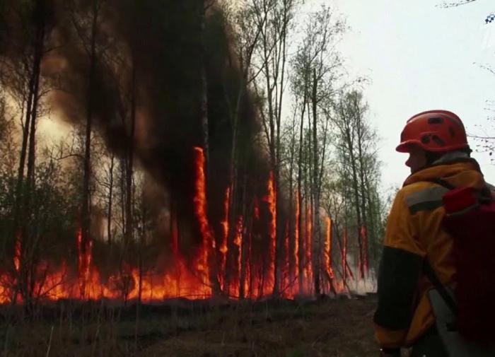 Vladimir Putin instruiu o chefe do Ministério de Emergências a assumir o controle dos incêndios em Yakut