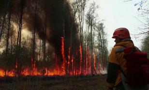 Vladimir Putin instruiu o chefe do Ministério de Emergências a assumir o controle dos incêndios em Yakut