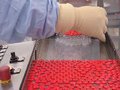 Cuba aperfeiçoa protocolos e produz vacina candidata contra Covid-19
