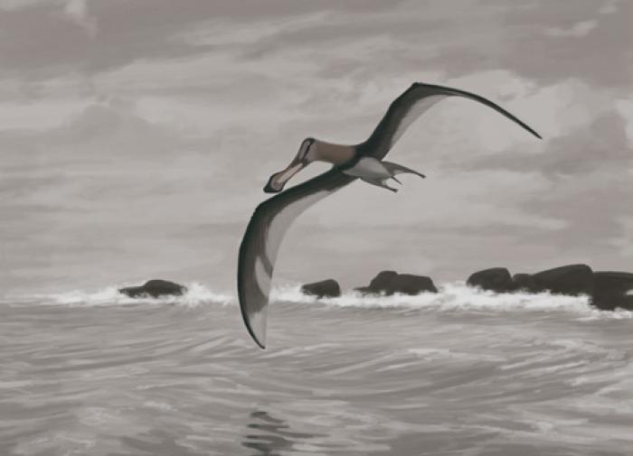 Os cientistas descobriram uma nova espécie de pterossauro - uma cópia do dragão das fadas