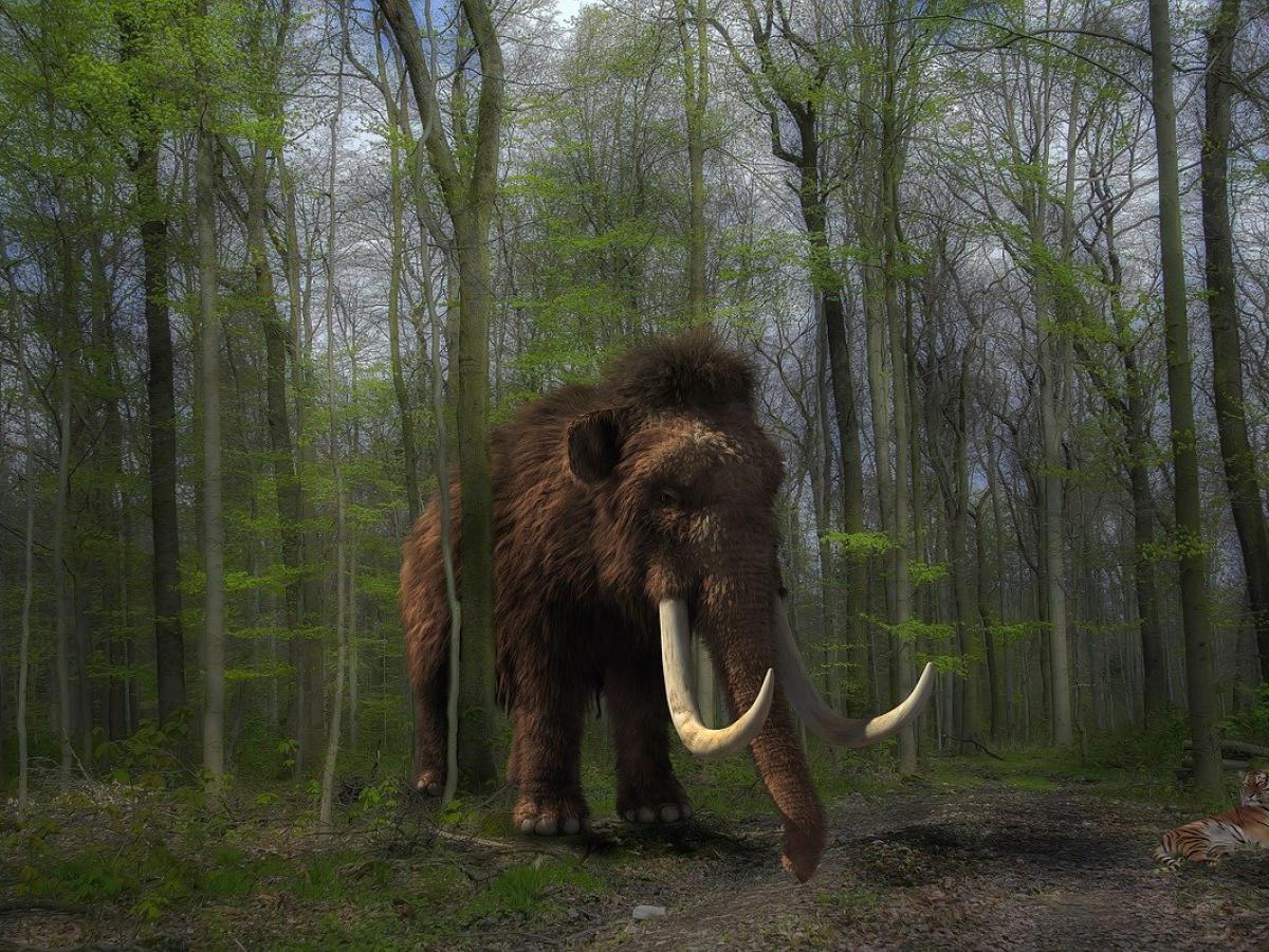 Quando mamutes e dinossauros aparecerão em zoológicos ao redor do mundo?
