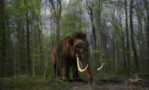 Quando mamutes e dinossauros aparecerão em zoológicos ao redor do mundo?