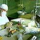 Vacina contra a gripe aviária está ensaiada nos cadetes da Académia Naval russa
