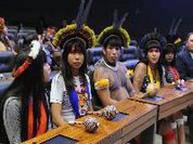 Relatores da ONU e OEA denunciam ataque a direitos indígenas