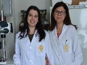 Investigadores da UC desenvolvem pâncreas bioartificial para tratar a Diabetes