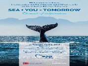 José Inácio Faria: Sea You Tomorrow
