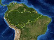 Desmatamento na Amazônia, o "Pulmão do Mundo", cresce 215% em apenas um ano