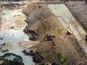 Governo Temer altera Unidades de Conservação e fragiliza proteção à floresta no Pará