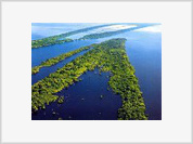 Florestas públicas da Amazônia serão monitoradas para garantir preservação